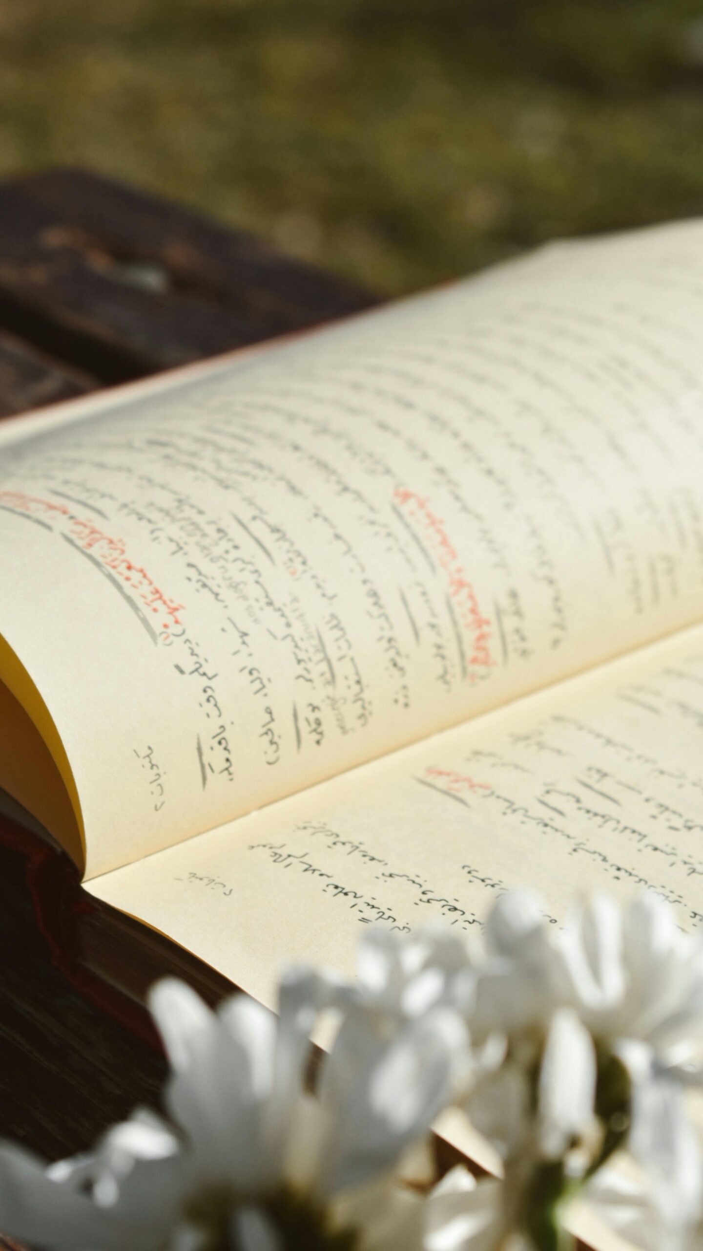 libro con escritura a mano sobre registros akashicos